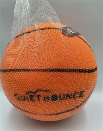 Indoor Basketball Quite Bounce