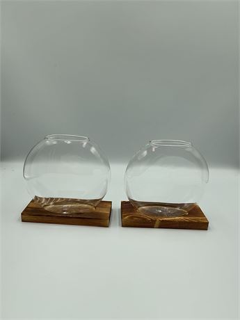 2pcs Round Glass Planter/Flowers